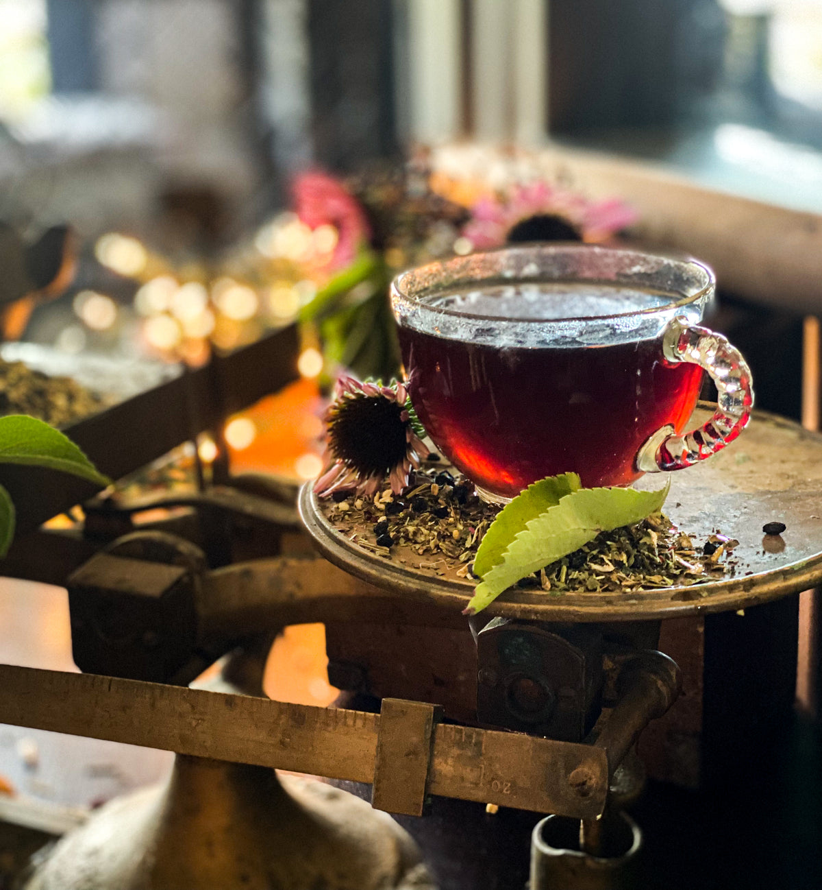 The Home Folk Tea Society