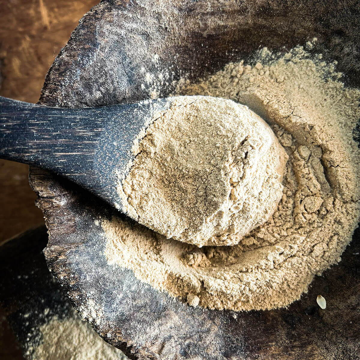 Red Reishi Mushroom Powder, 1/4 LB.