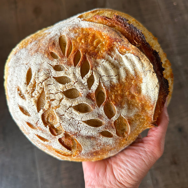 Sourdough Starter