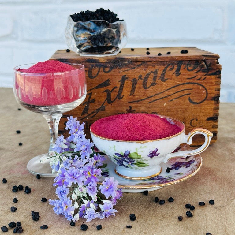 Elderberry Extract Powder, 1/4 LB.