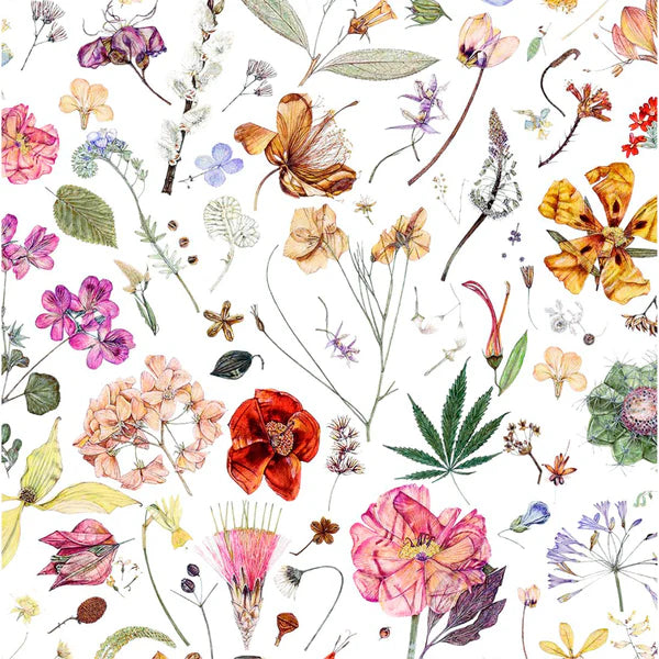Floral Eve-Tana Lawn™-Liberty Fabrics