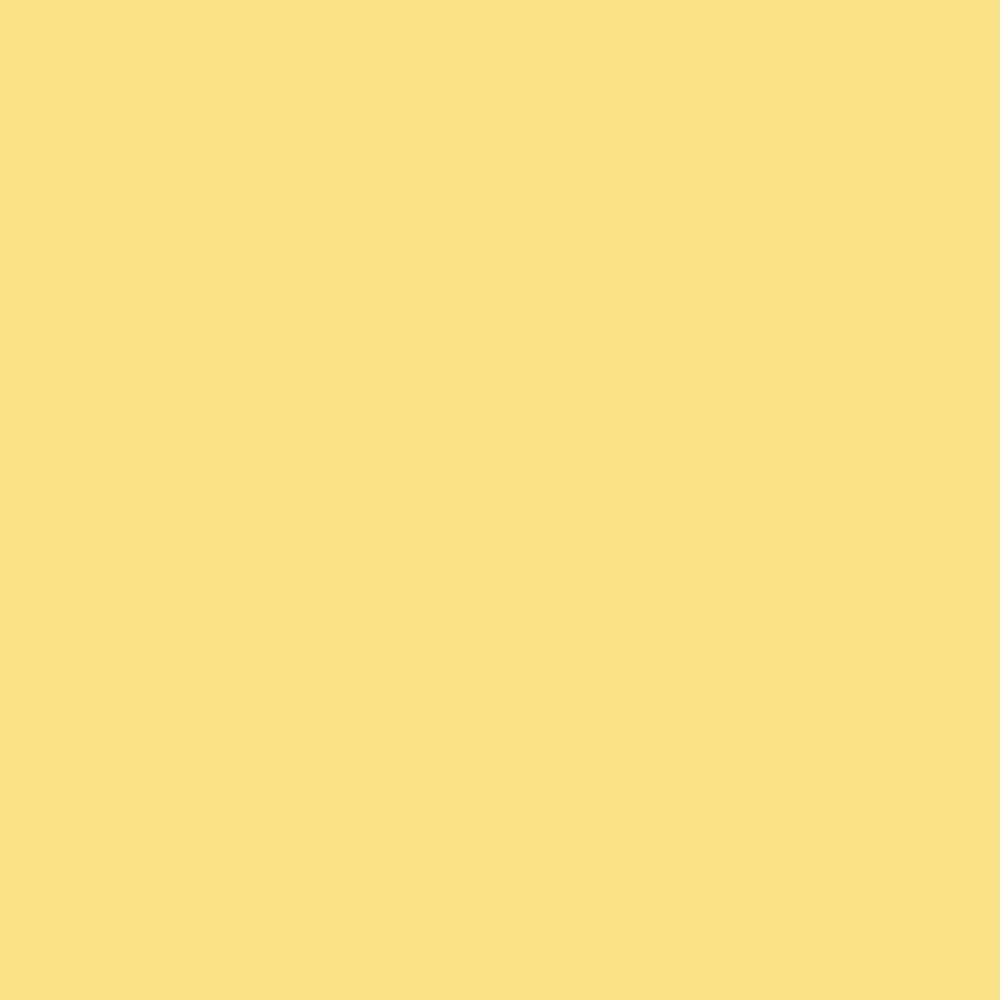 Birch Organic Fabric - Meadow Poplin - 1 yard