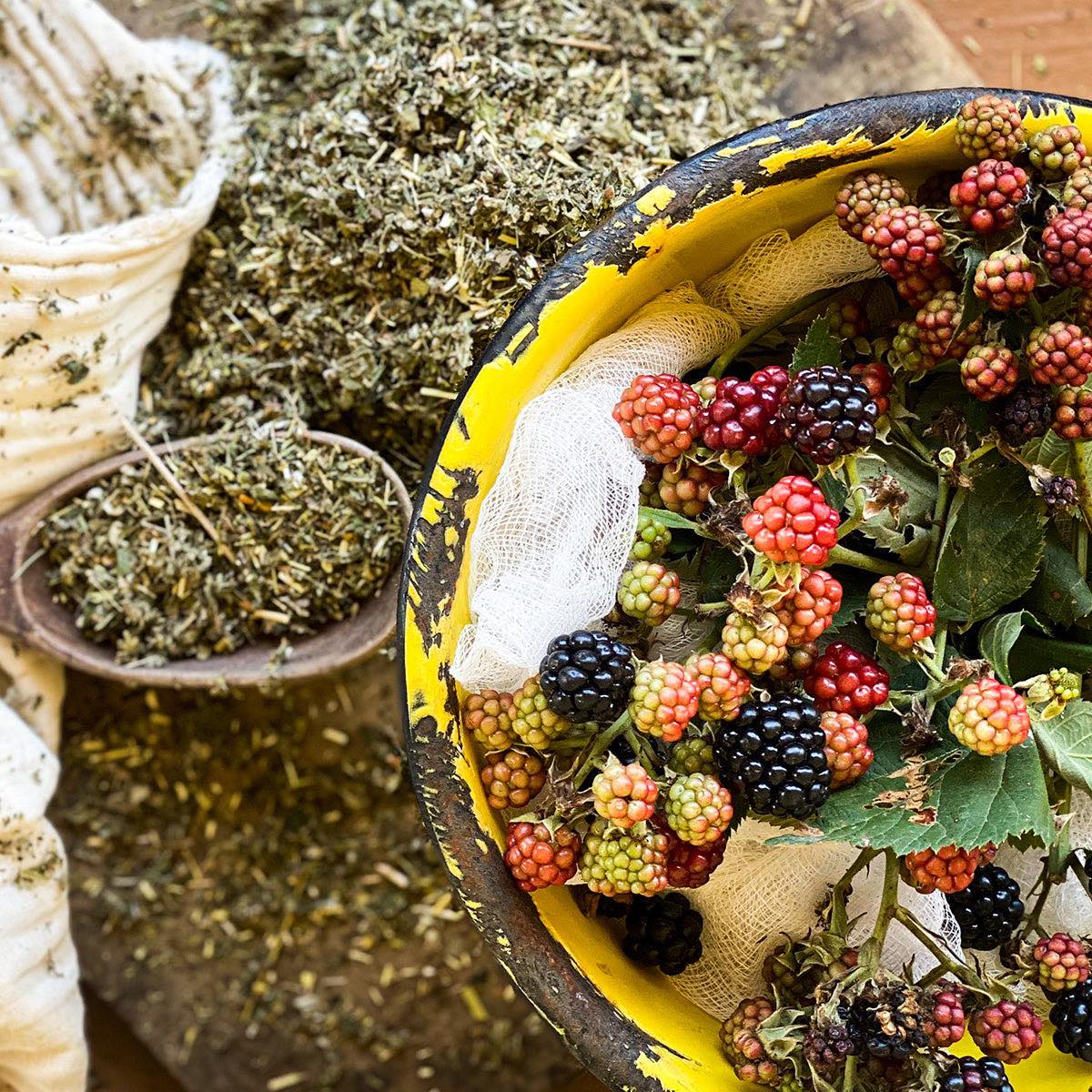 Dried Mama's Red Raspberry Brews spills out of a spoon near a bowl of fresh berries.