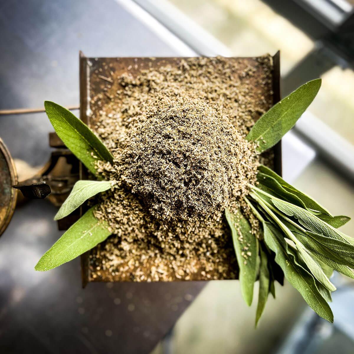 An overhead photograph of dried and fresh sage leaves arranged on an old scale.