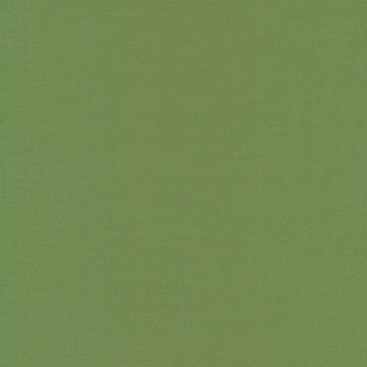 Solid Colors-Pine-Tilda Fabrics