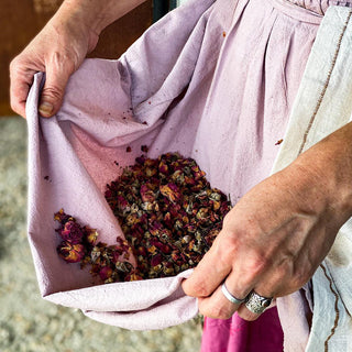 Red rose buds and petals in a woman's apron cradled by her hands.
