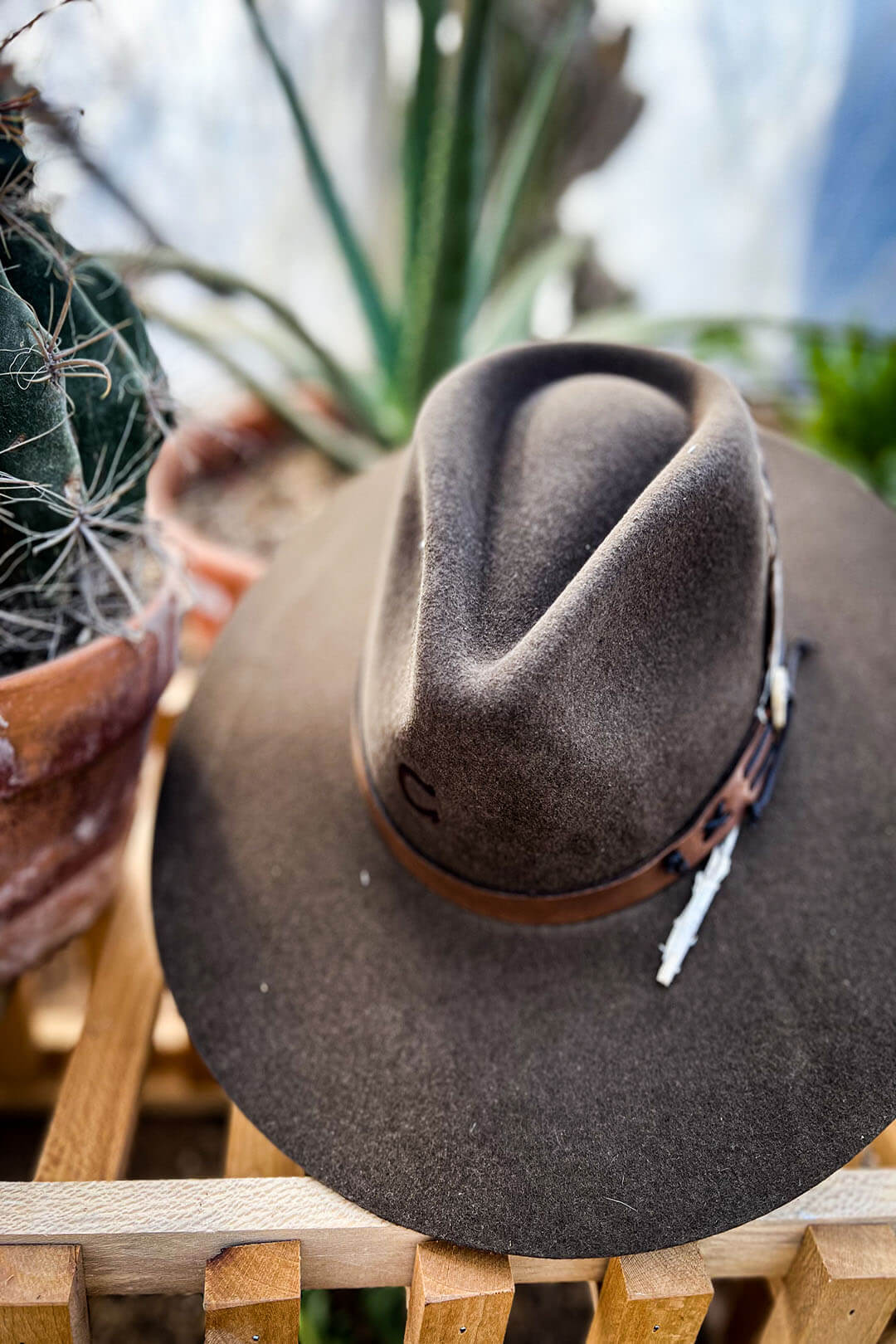 Image of the Teepee Oak Cowgirl Hat.  The hat features a leather band around crown and comes with removable feather. 
