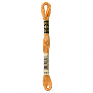 Pale Golden Brown-3827