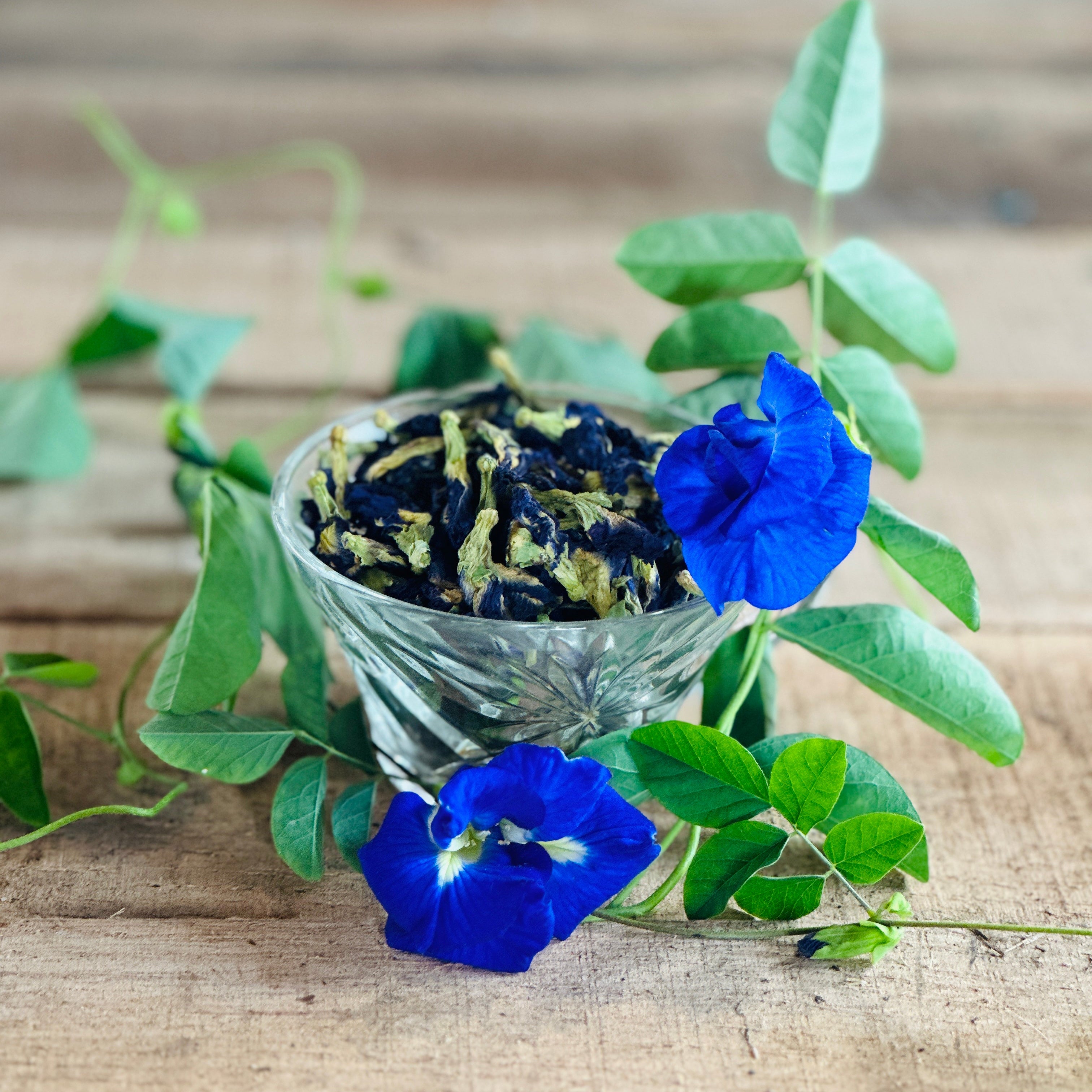 Blue Butterfly Pea Flowers, Whole, 1/4 LB.
