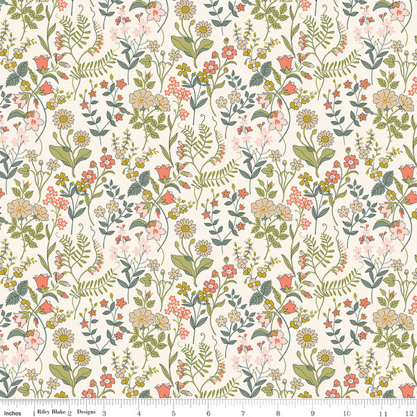 Lola Scatter C