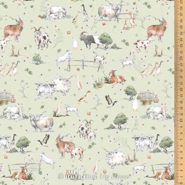 Farm Animals