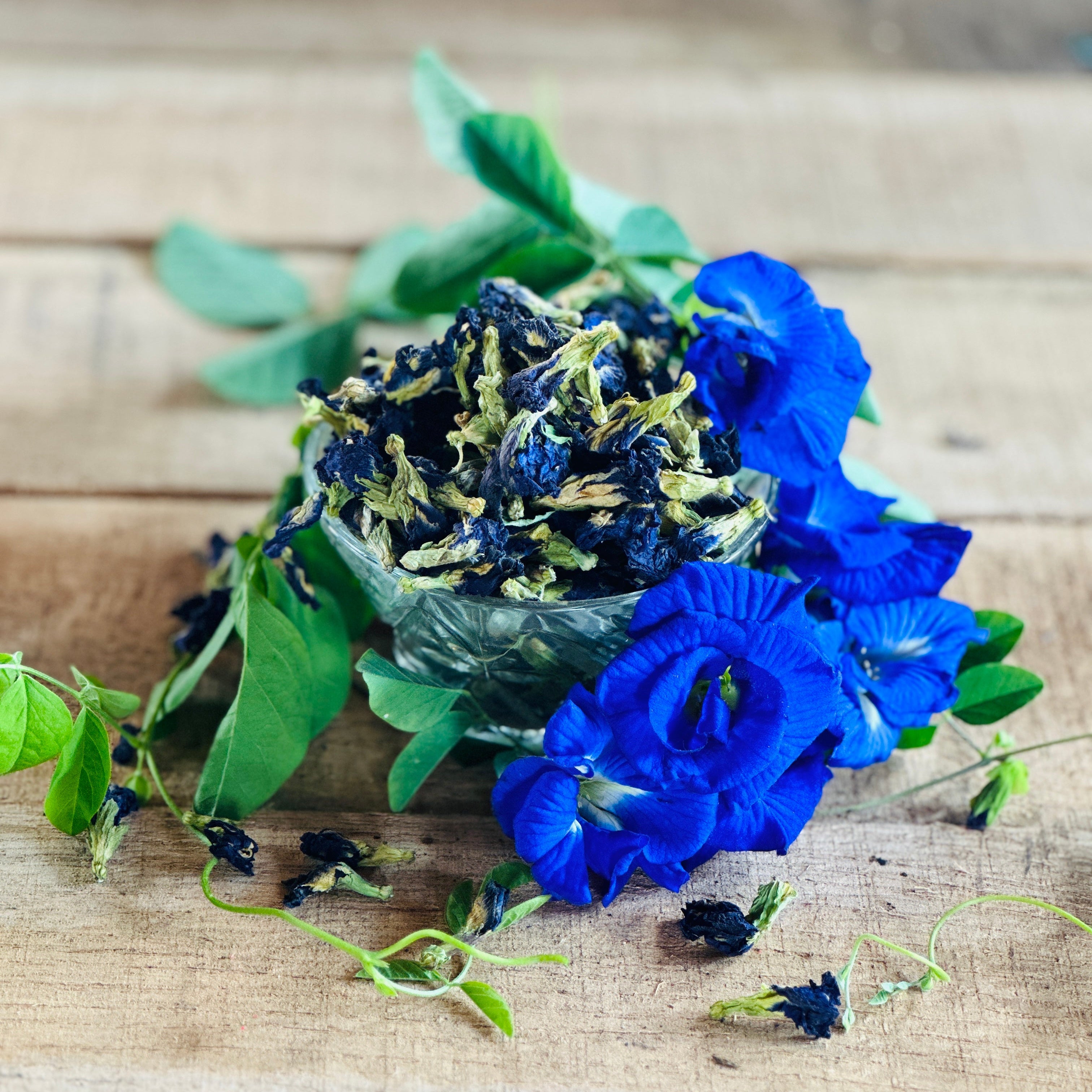 Blue Butterfly Pea Flowers, Whole, 1/4 LB.