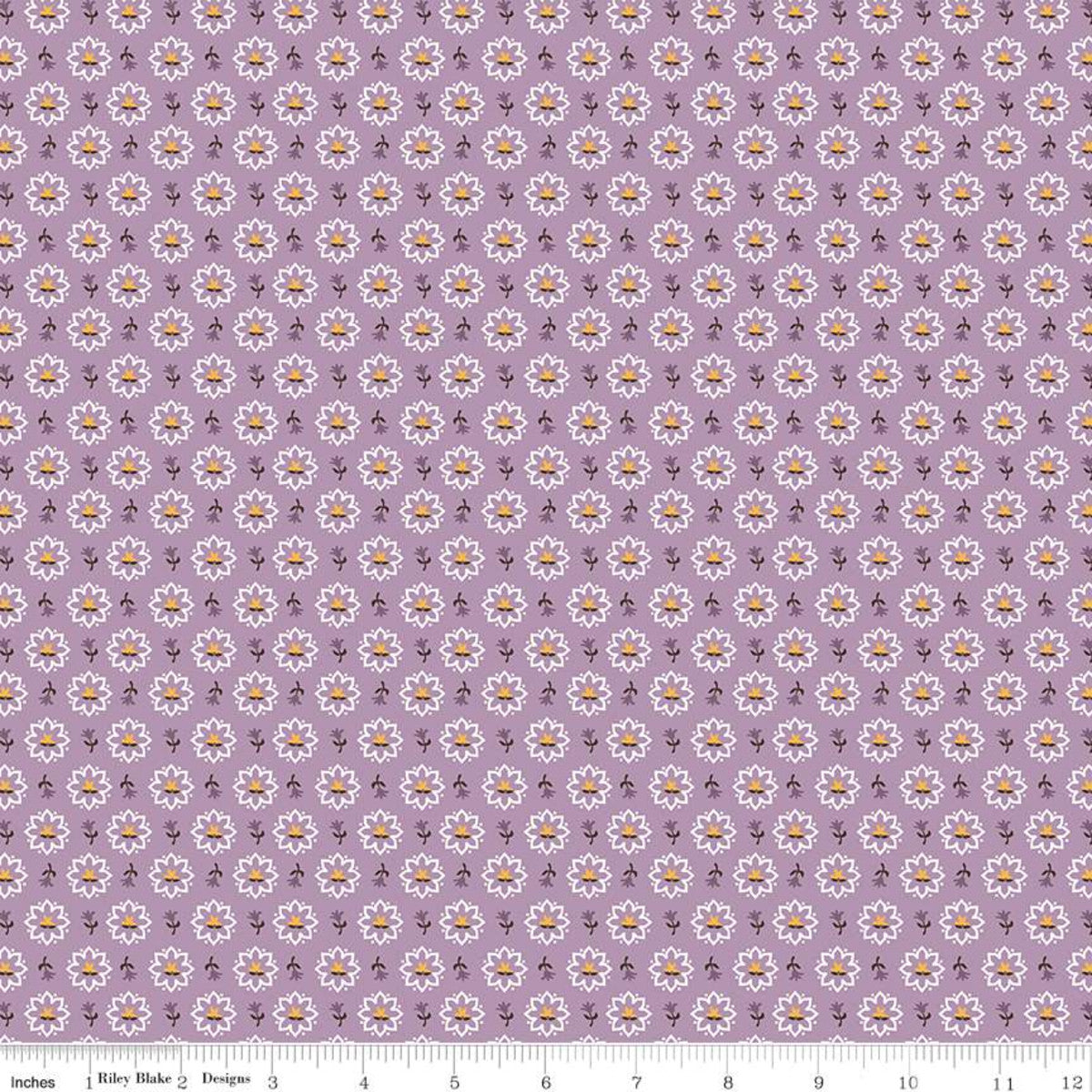 Prairie Heritage Heirloom Plum