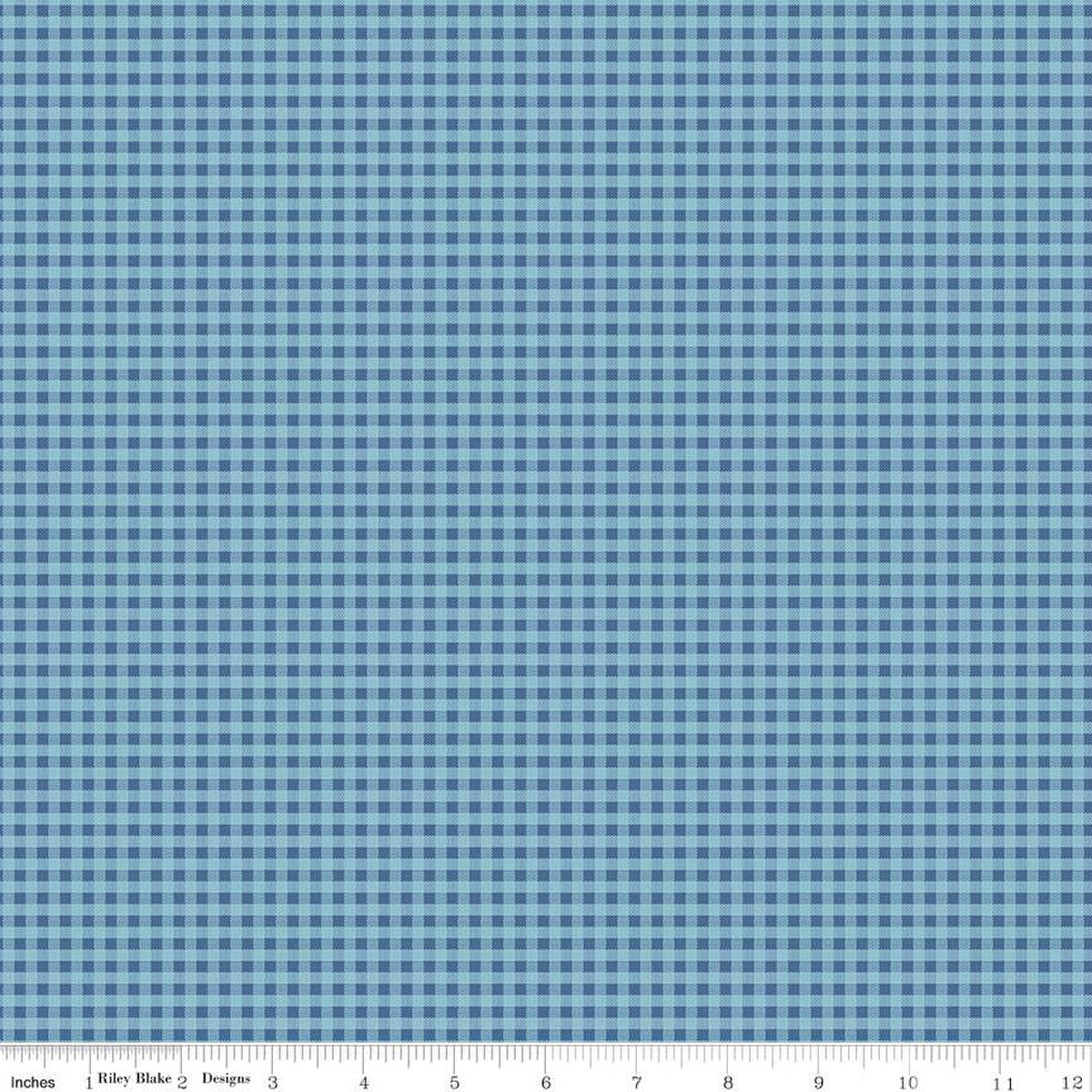 Prairie Homespun Denim