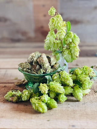 Hops Flowers, Whole, 1/4 LB.