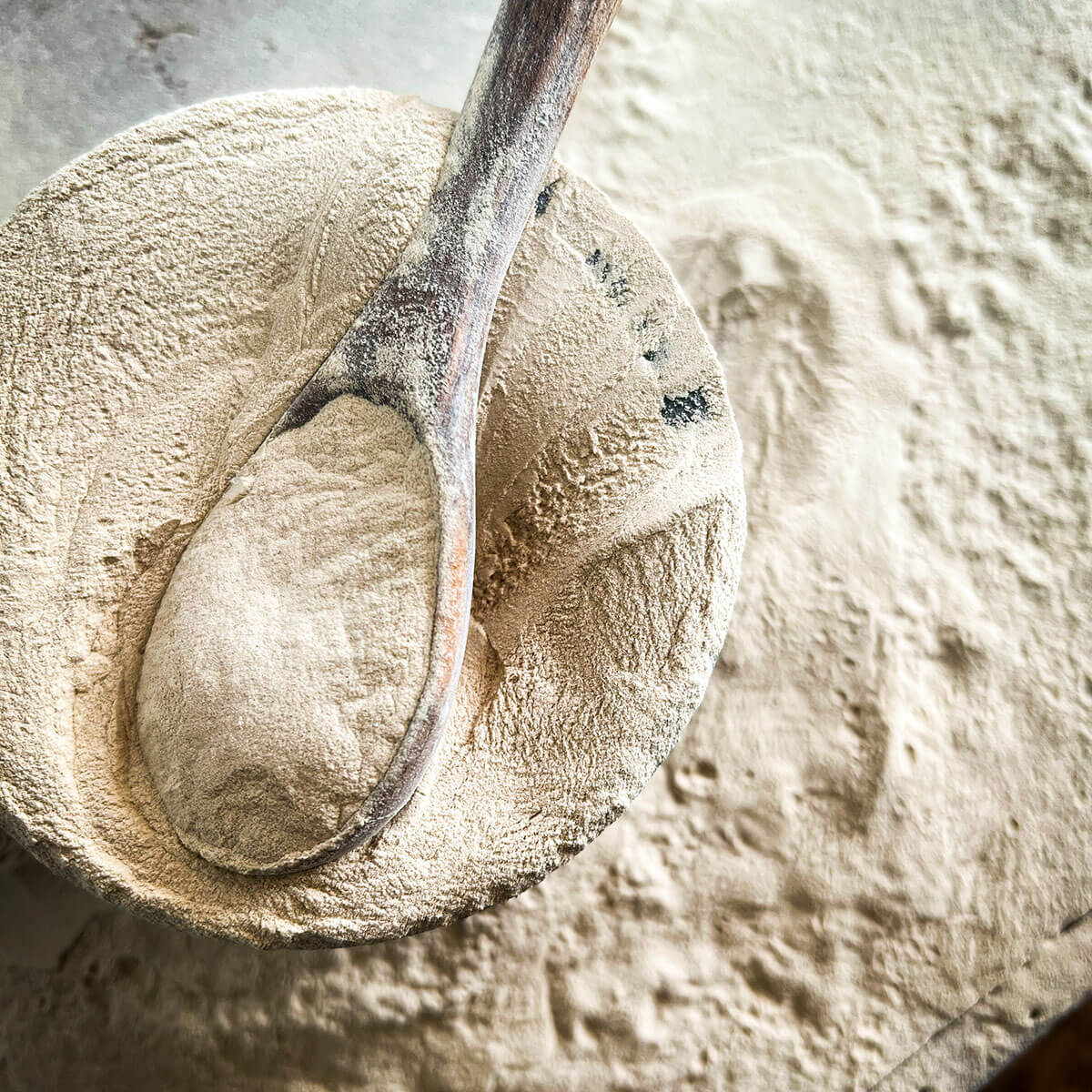 Forager's Six Mushroom Blend, 1/4 LB.
