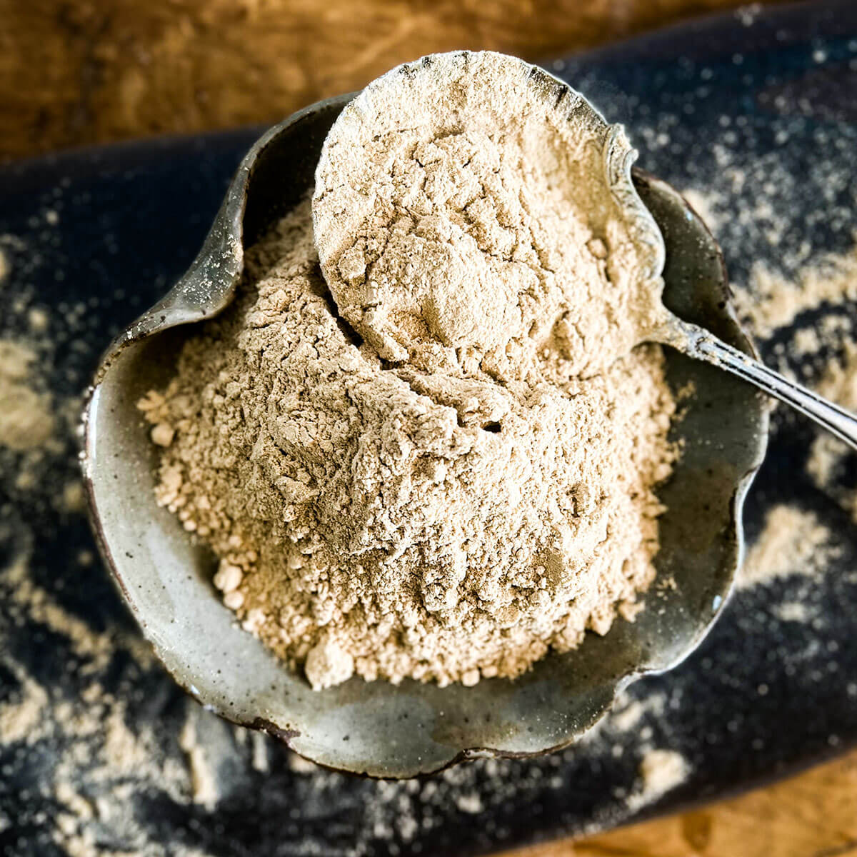 Lion's Mane Mushroom Powder, 1/4 LB.