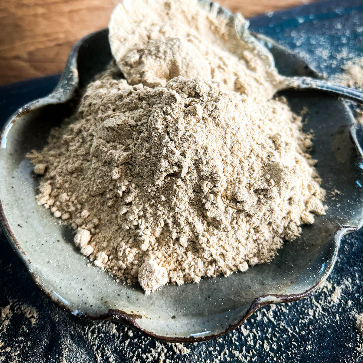 Lion's Mane Mushroom Powder, 1/4 LB.