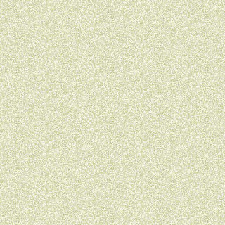 Mini Texture-Lime