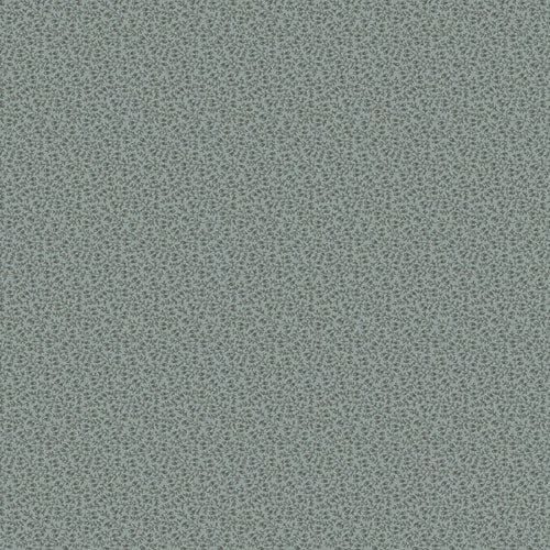 Home-Blue