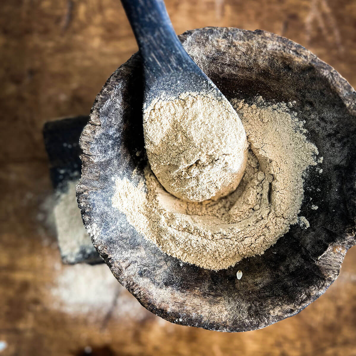 Red Reishi Mushroom Powder, 1/4 LB.