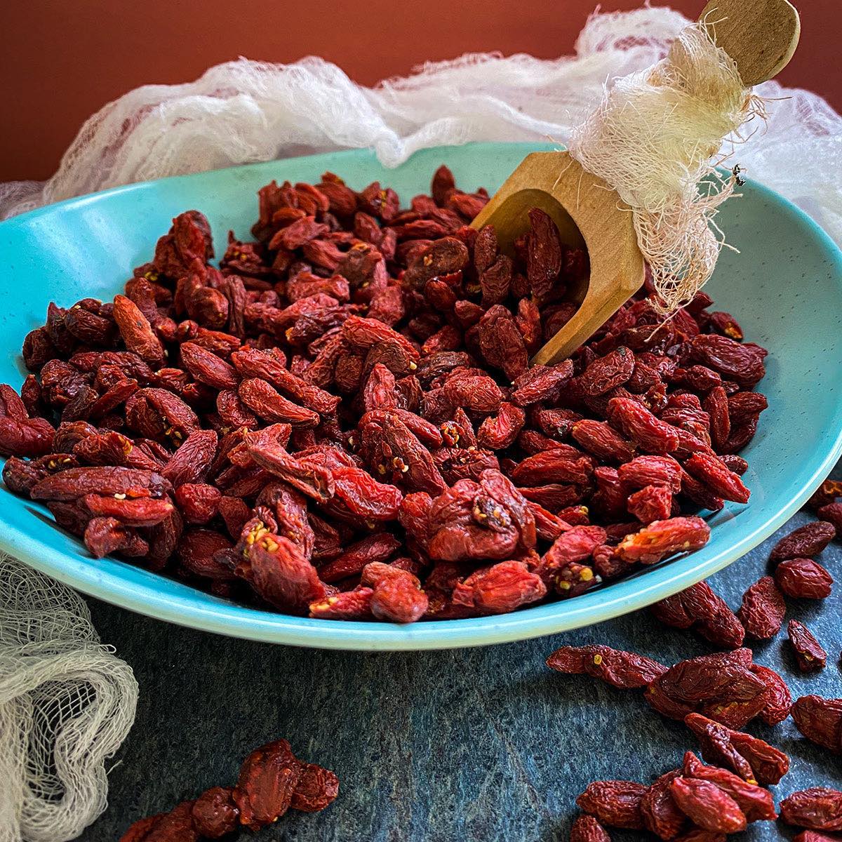 Dried goji berries in a blue bowl with a wooden scoop