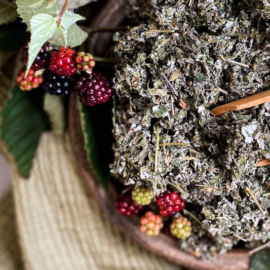 Dried red raspberry leaf in a wooden bowl surrounded by fresh berries.