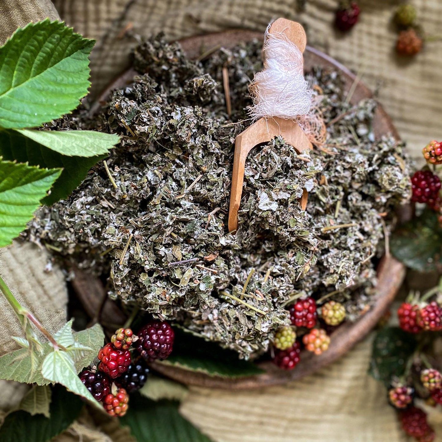Dried red raspberry leaves in a wooden bowl with a wooden scoop that is surrounded by fresh berries.