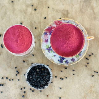 Elderberry Extract Powder, 1/4 LB.