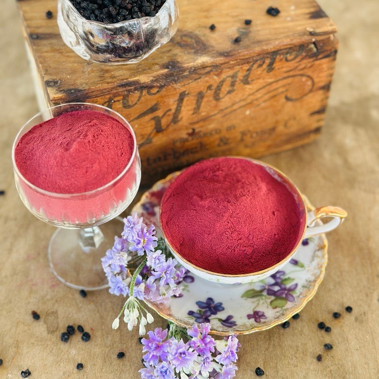 Elderberry Extract Powder, 1/4 LB.
