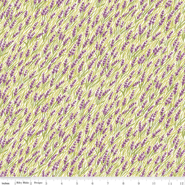 Liberty-Postcard from the Highlands-Marsh Orchids