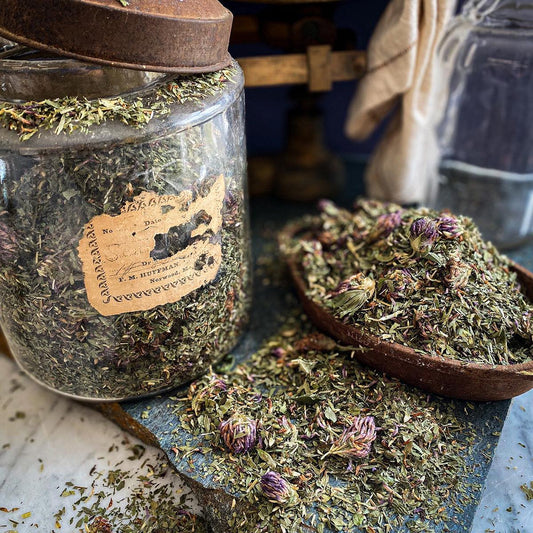 A glass apothecary jar is filled with dried red clover. A spoon in the foreground overflows with the dried herb.