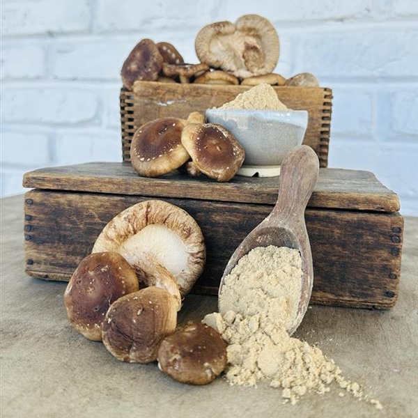 Shiitake Mushroom Powder, 1/4 LB.