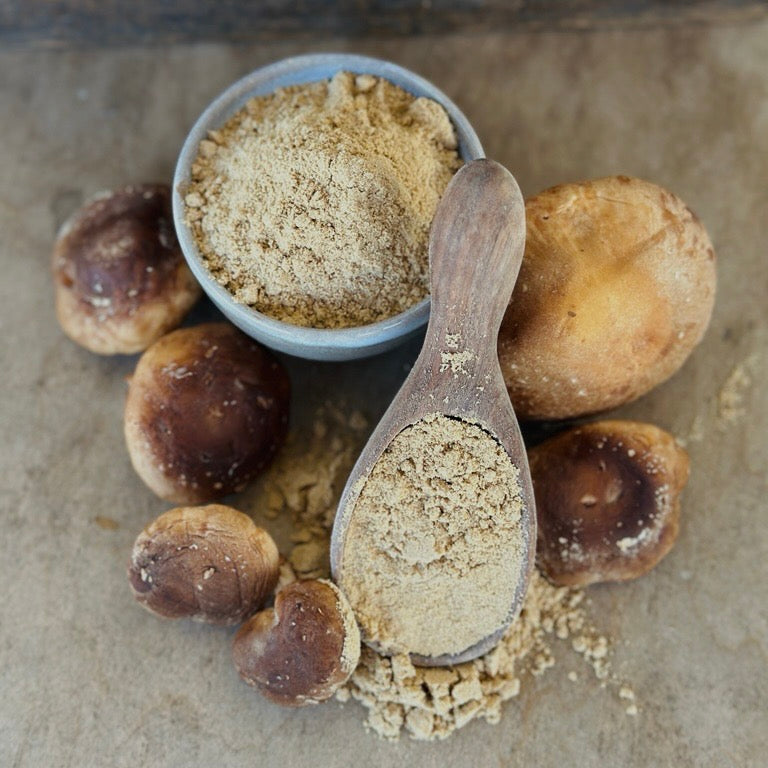 Shiitake Mushroom Powder, 1/4 LB.