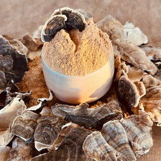 Turkey Tail Mushroom Powder, 1/4 LB.