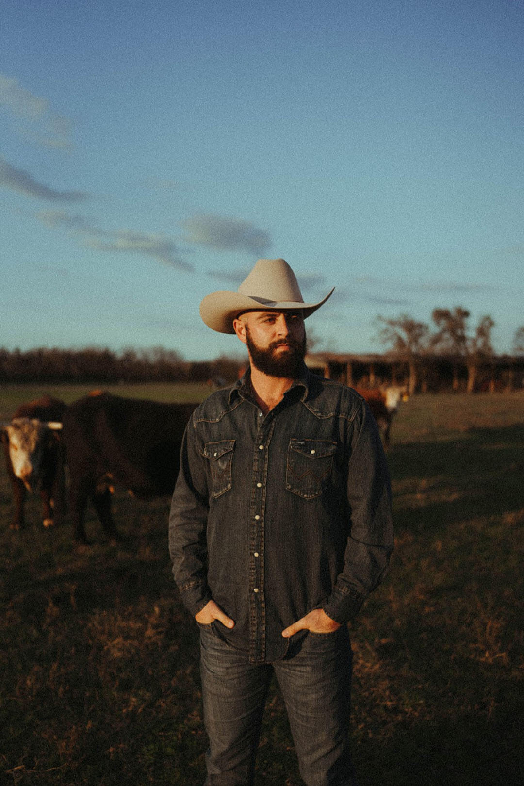 Man standing in field with cows surrouning him.  He is wearing the cowboy cut denim snap work shirt.  