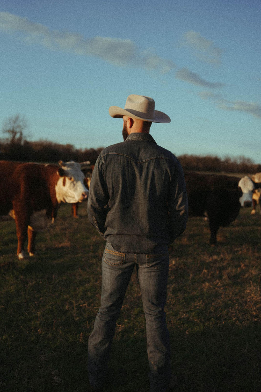 Man standing in field modeling the back side of the cowboy cut denim snap long sleev work shirt.  The shirt features a collar.
