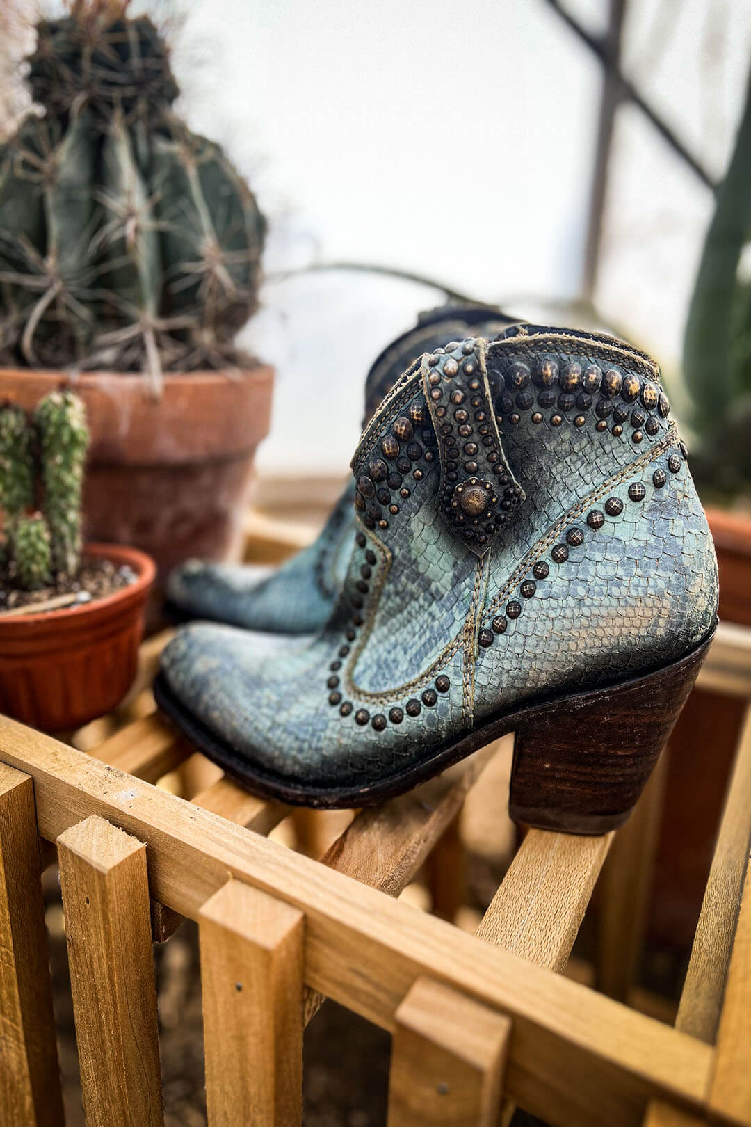 Image of the Snakeskin Boots by Liberty Black.  The shoes have stud detail throughout.