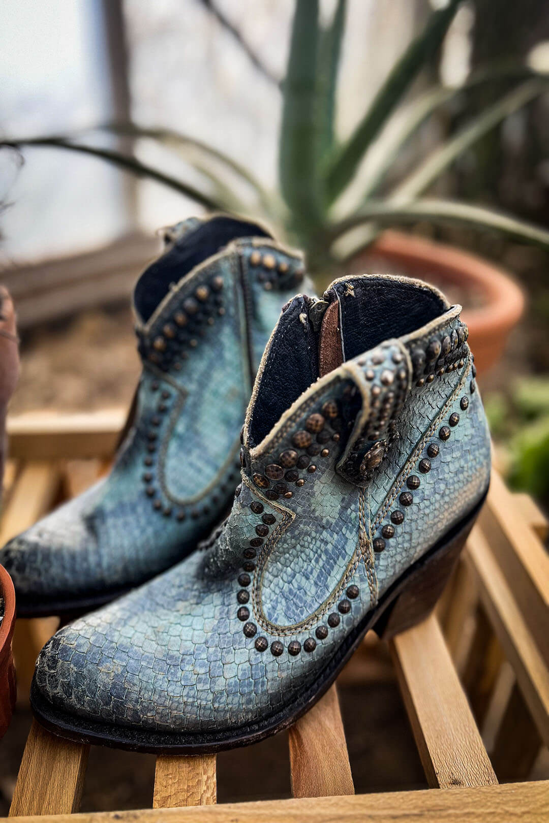Close up image of the Snakeskin Boots by Liberty Black.  Turquoise color.