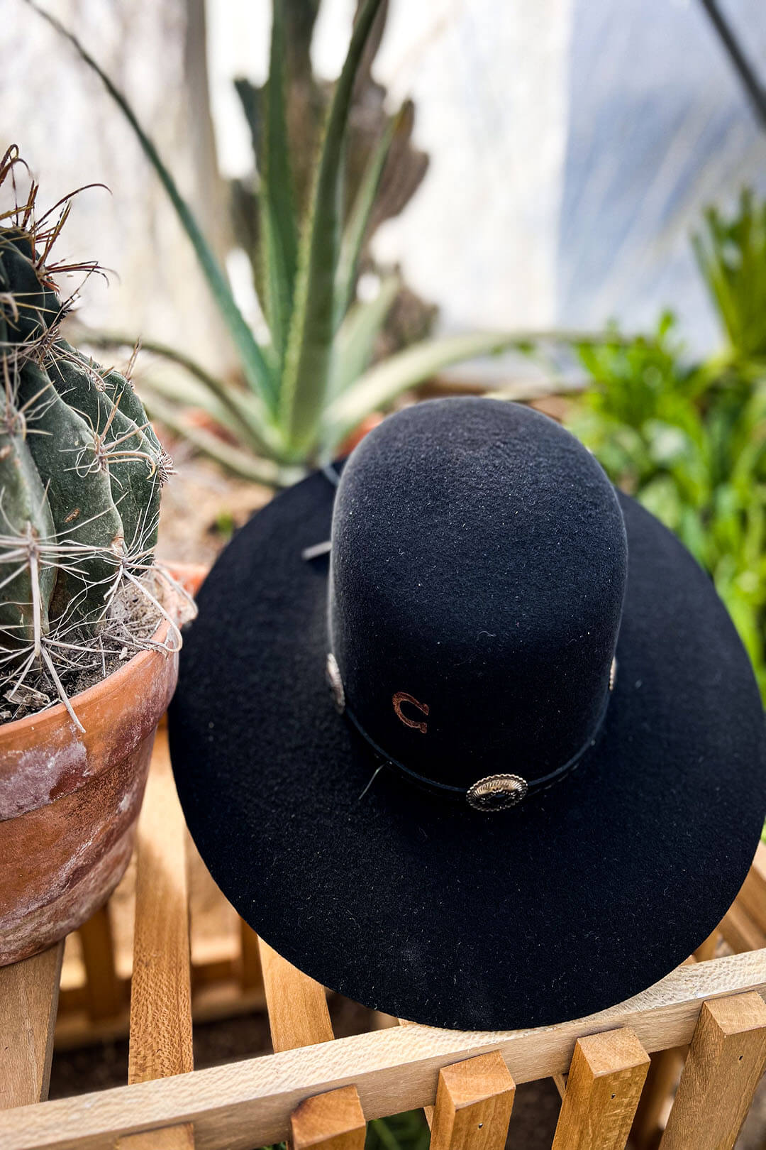 Picture of the stagecoach 07 black cowgirl hat by charlie 1 horse. The hat features a leather band with silver conchos around it. 