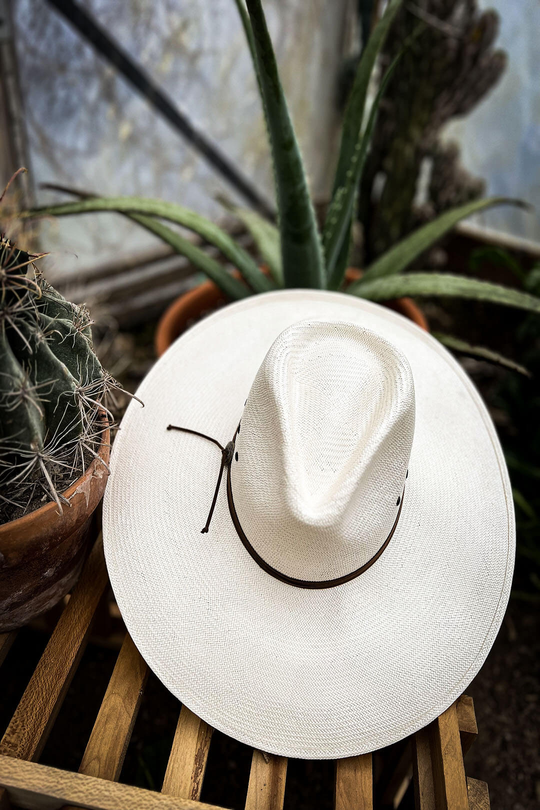 Close up image of the Natural Canopy Straw Cowgirl Hat. The hat is white in color. 