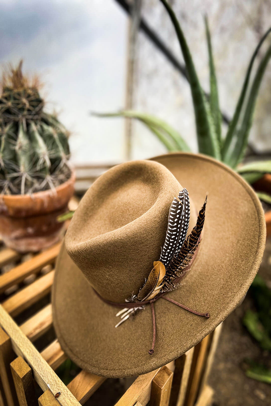 Side view picture of the stetson coloma hat.  The hat is made from soft wool felt.   The hat also features a leather strap around with feathers  that are removable. 