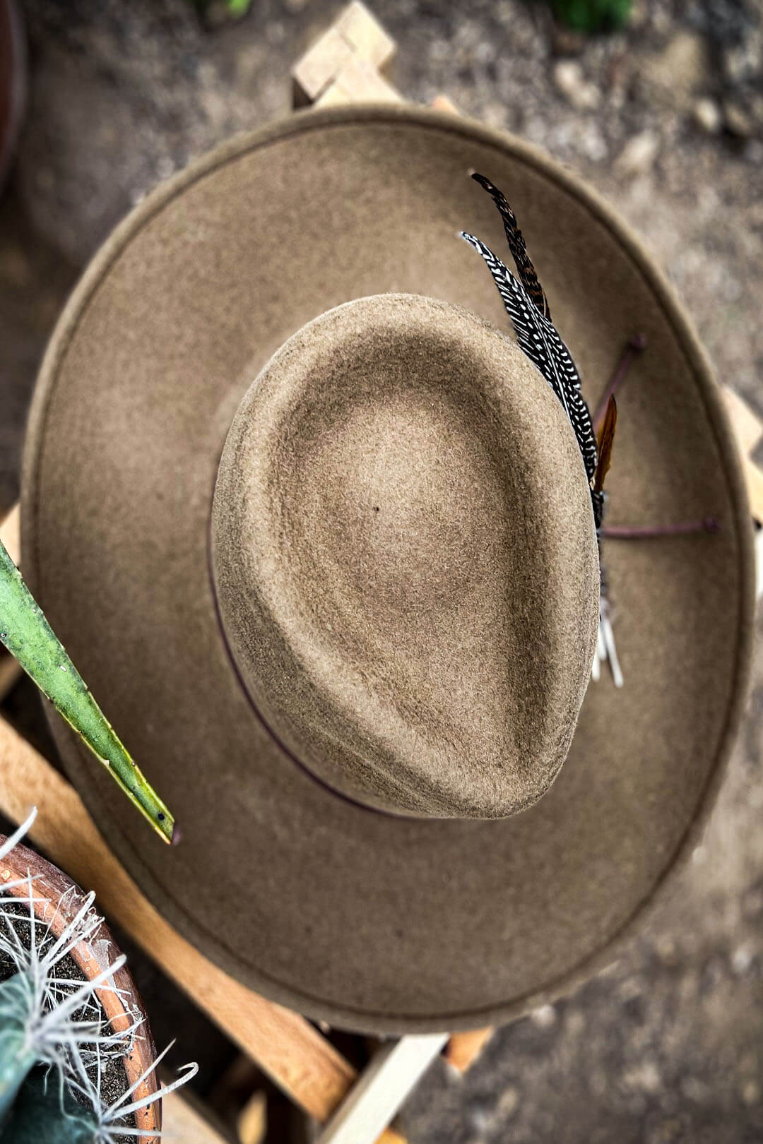 Above picture of the top of the stetson coloma cowgirl hat.  The hat is a fedora style hat. 