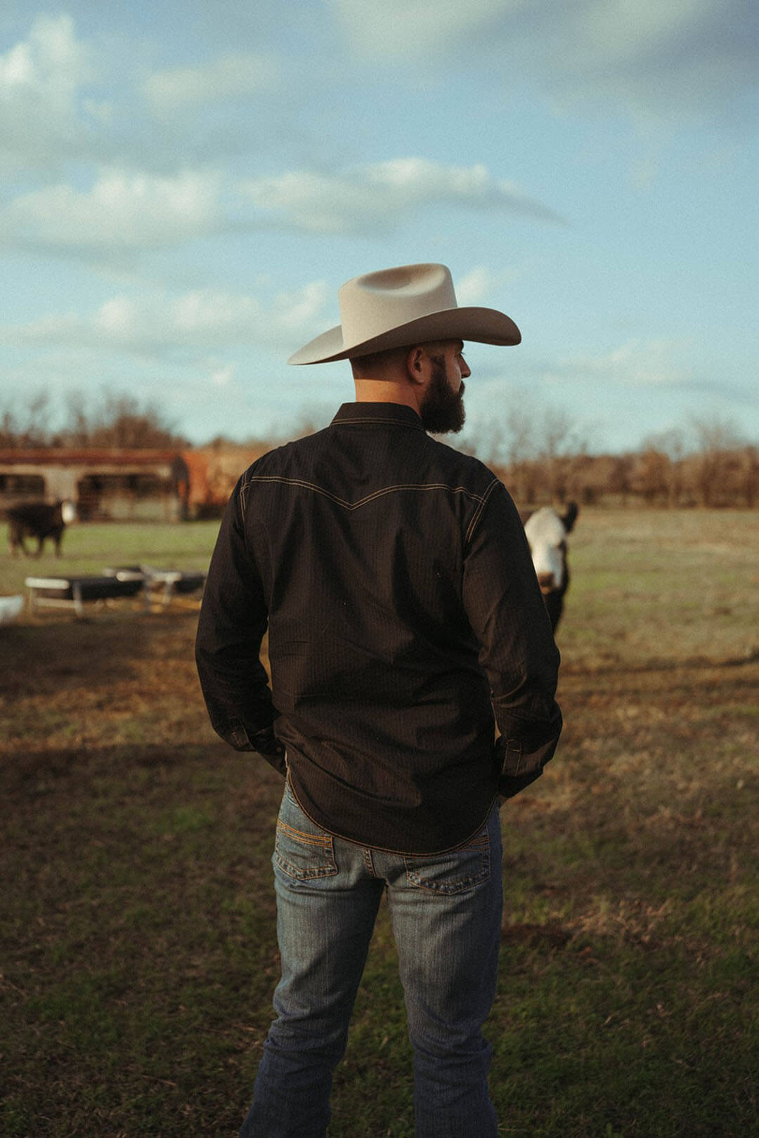 Man standing in field with cows modeling the back view of the wrangler retro mens dobby snap western shirt. 