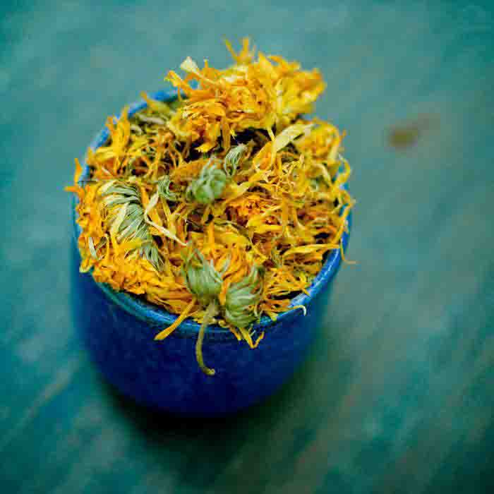 Calendula stuffed into a blue dish with a blurred blue-green background.